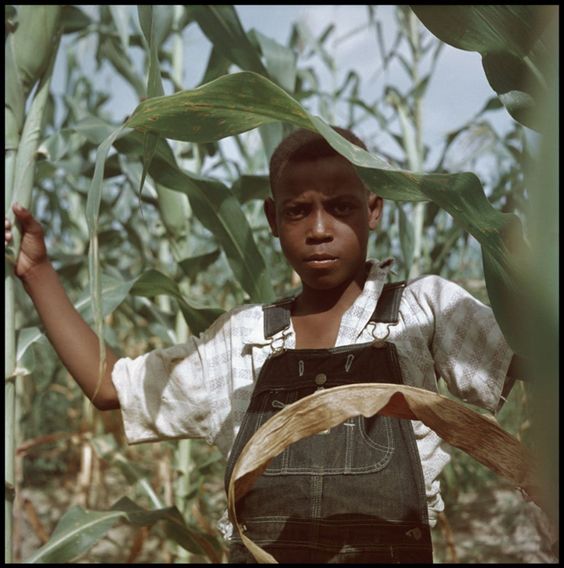 lostdogspark's tweet photo. @nickyY2K @stupidclikkie i'm pretty sure Gordon Parks took this photographs around 1956 https://t.co/29M7q0FNEI