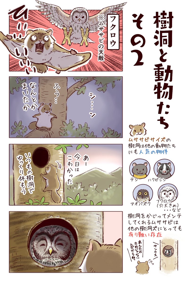 わいるどらいふっ!第179種
樹洞と動物たちのフシギな関係 