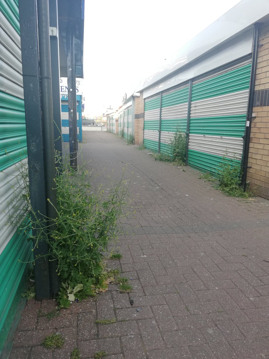 Nature taking Towyn back