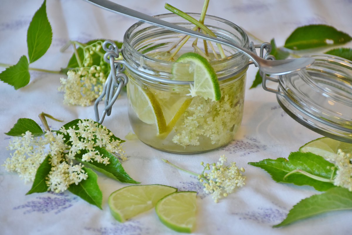 BeTarot's tweet photo. Elderflowers peak at Midsummer. Pick them ideally on Midsummer's Day. The Elder is sacred to the Mother Goddess and is often called the Witch's Tree, the Elder Mother, or Queen of the Trees. 
https://t.co/fLak3loATy

Click on the link to book your place https://t.co/PTG1VBcHxS https://t.co/BW3WTilgUl