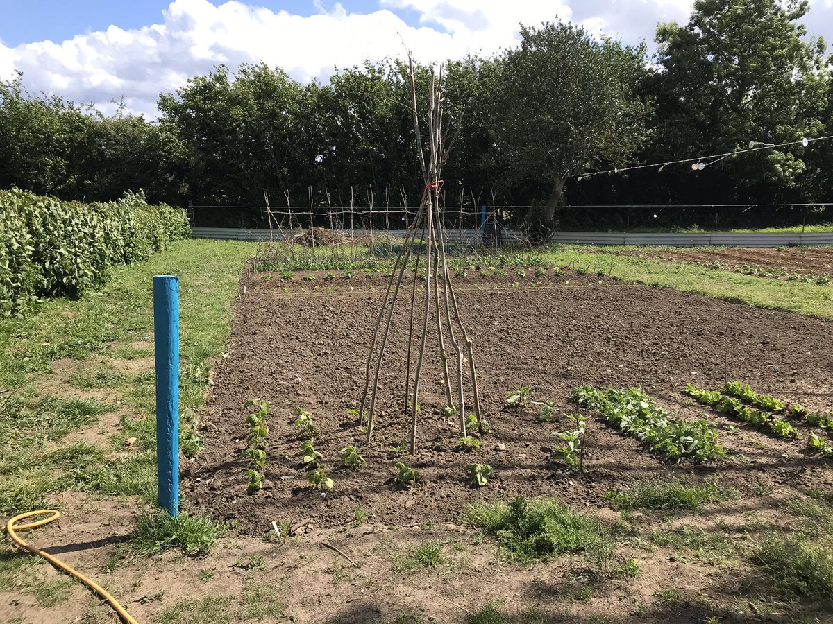 arkategwood tweet media