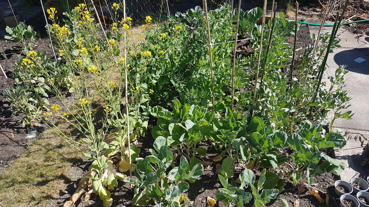 TheShitFoodBlog's tweet image. The pantry....