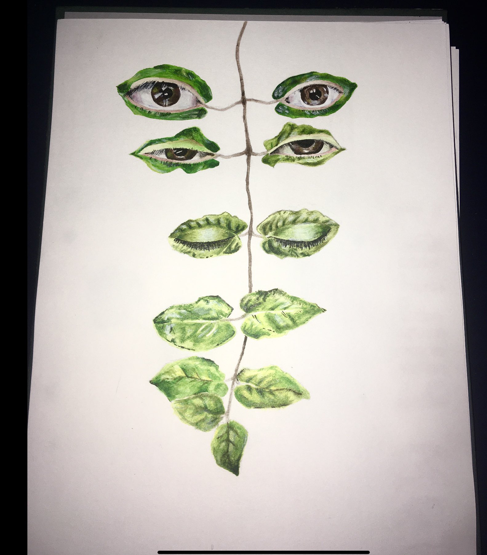 Metamorphosis Drawing Ideas