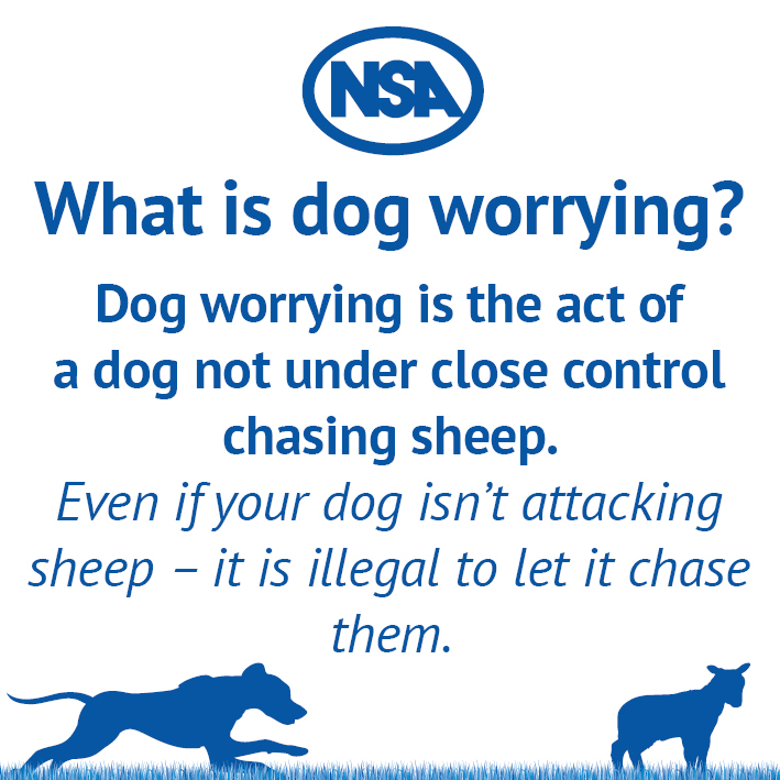 At NSA we hear 'but I didn't know' a lot, and we're sure our farmer members have too. There is no excuse!

Share this graphic to remind the public of the law and their responsibility to obey it.