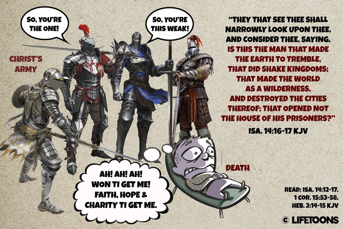 Lifetoons tweet media