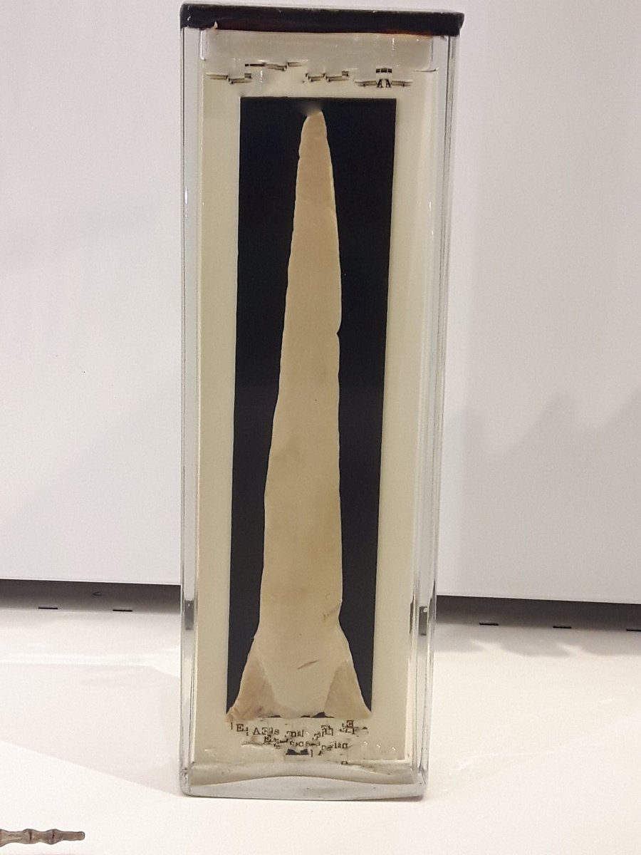 JackDAshby's tweet photo. We have some great specimens at @ZoologyMuseum. 
Today's 🔎#CloseUpQuiz🔍 is a bizarre bit of beast. What part of what animal do you think this is?

The answer will be posted at 4pm BST.
#MuseumFromHome #NHlockdown https://t.co/jFBTnf9ahN
