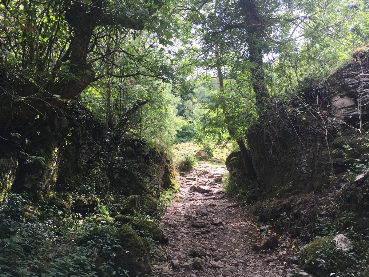 I *did* hike along the now-disused train track Col which would have used - now a hiking path that goes through old train tunnels to Monsal Dale, a staggeringly beautiful valley with a railway viaduct you can walk across. It's a totally flat walk too, so its wheelchair accessible!