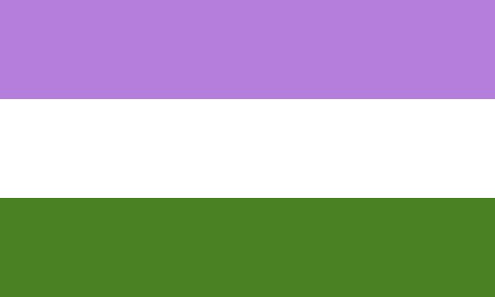 5. gender-queer flag