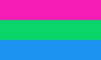 4. polysexual flagpolysexuality is the incorporation of different kinds of sexualities.