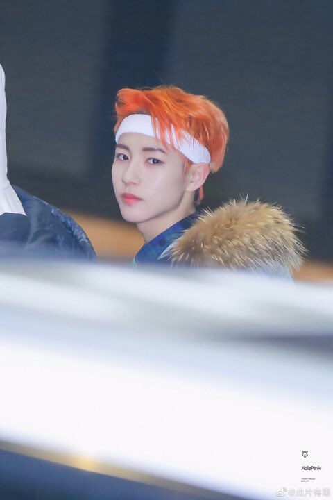 취향의 런쥔 tweet media