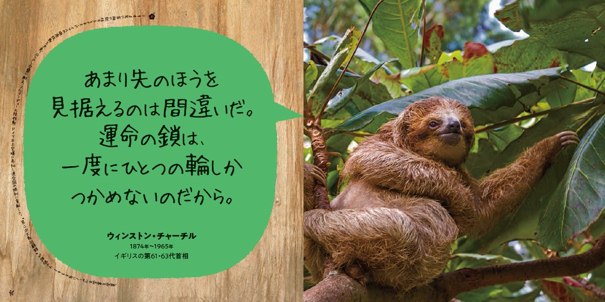 今の状況に刺さる！ 深い～言葉。 『ナマケモノでいいんだよ』より