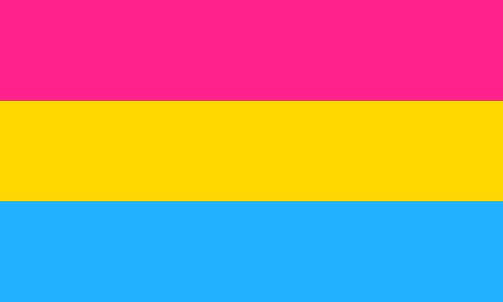8. pansexual flaga pansexual person does not limit themselves in sexual choice with regard to biological sex, gender, or gender identity.celebrities: miley cyrus, lizzo and janelle monáe.