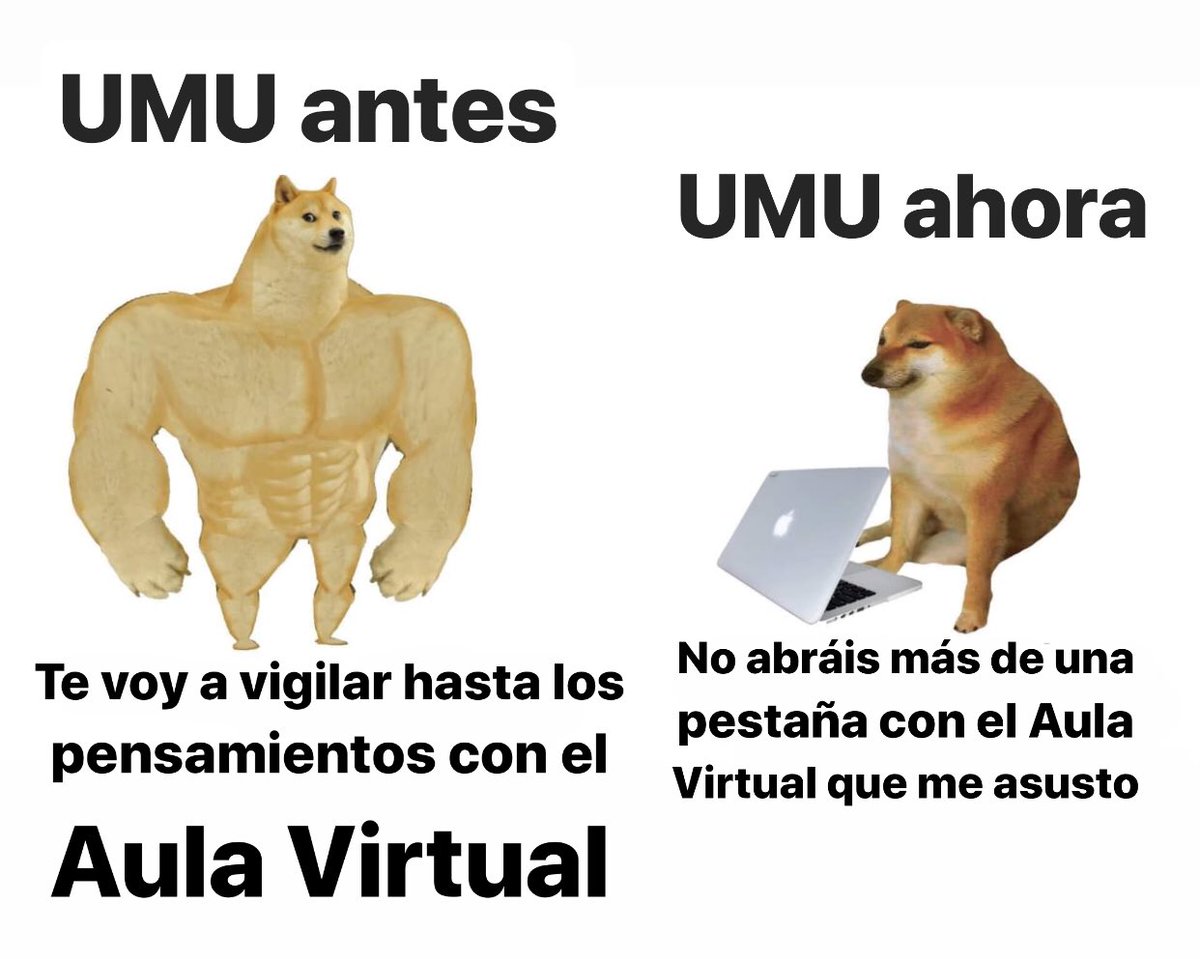 umuball's tweet photo. https://t.co/5CyeZs9XE3