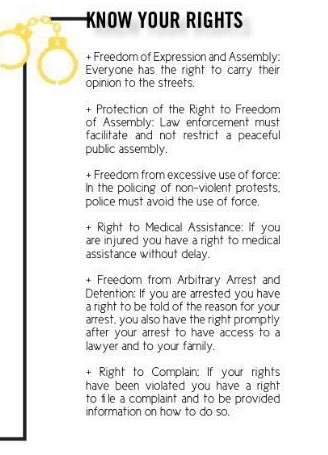 Know your rights!!! This is important, seeing as it is not illegal for anyone to protest —yet people have been arrested in other cities for no reason.