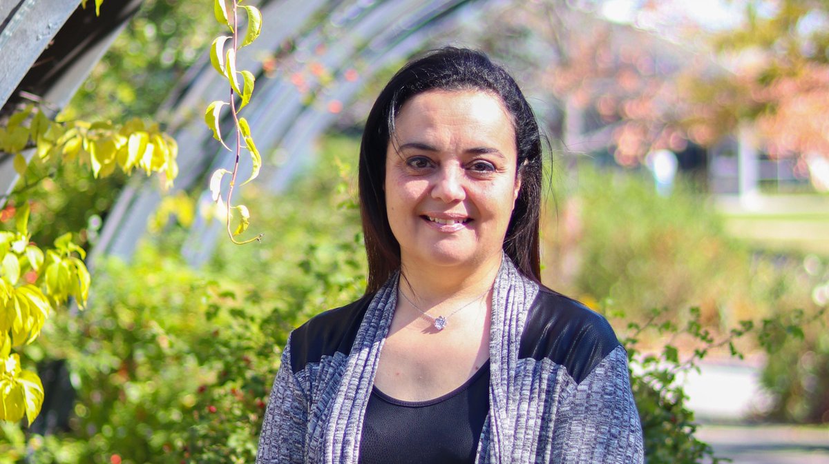YorkUeducation's tweet photo. Congratulations to PhD graduate Amira El Masri who won two best doctoral thesis awards for her research on international education policy https://t.co/9ZfKjOSPPM #YUResearch https://t.co/m5jxsalV3N