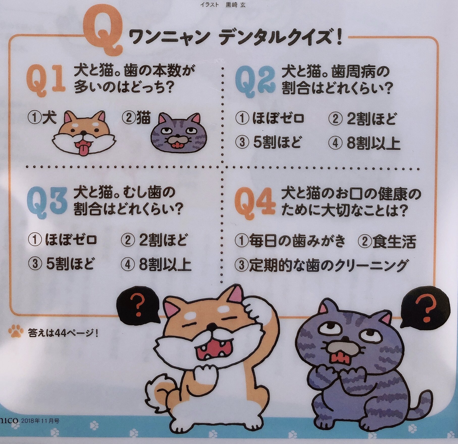 Twitter 上的 浅井佑介 Yusuke Asai ワンニャンデンタルクイズ だそうです たまには動物の歯の話も良いですよね こちらはクインテッセンス出版nic18年11月号の東京都パル動物病院院長伊藤正先生の記事の抜粋です クイズの答えはコメント欄に記載しま