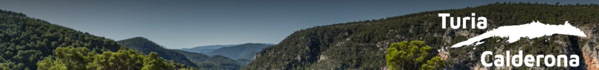 divaladl's tweet photo. Los Grupos de Acción Local #Rurable @turiacalderona #SomRurals y #caroigxuquer, integrados en #Redteval #XarxaADL, publican sus ayudas #leader a proyectos públicos y privados. +info https://t.co/5SSKrxPh7o https://t.co/P7ogbPxgTn