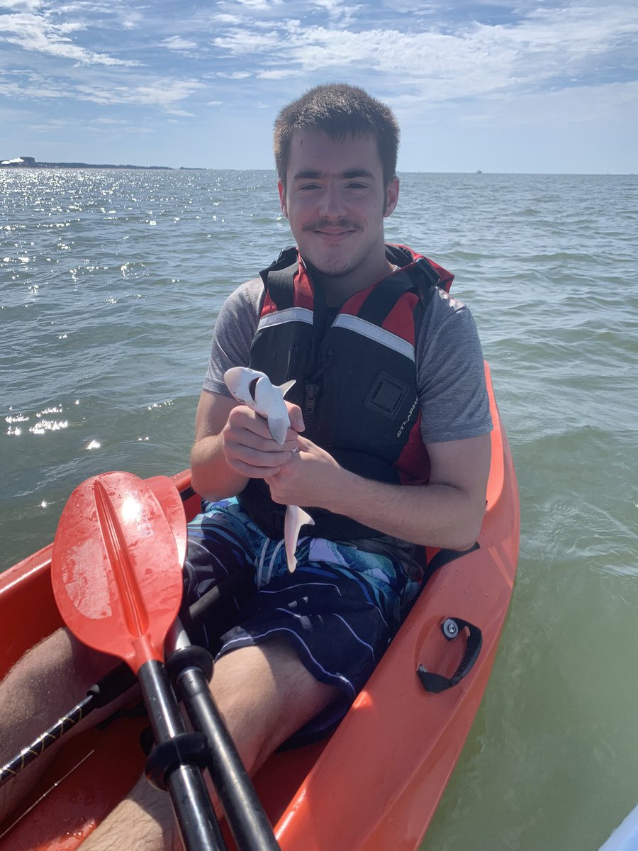 Life is good......  baby shark do do do do do do
