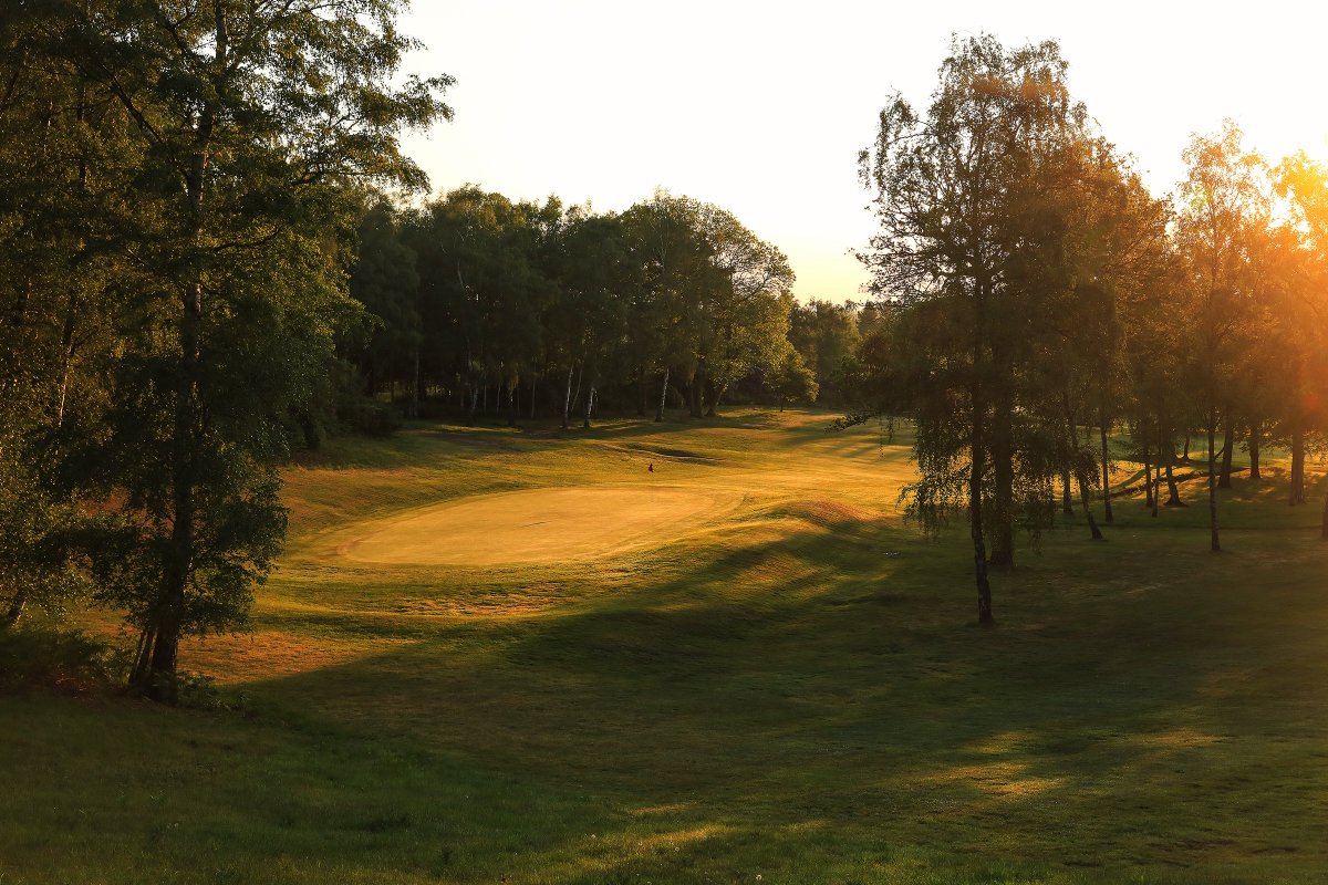 FoxhillsSurrey's tweet image. Playing lots of golf at the moment? Considering a membership? 

Why not join a club with a prestigious pedigree &amp;amp; some of Surrey's best holes?

Our golf membership includes a range of exclusive perks including 40% off guest green fees, coaching &amp;amp; more.

➡️ foxhills.co.uk/golf/golf-memb…
