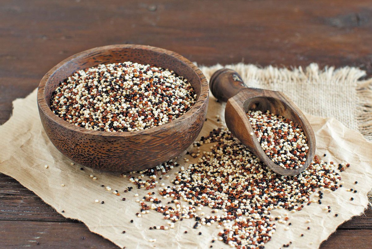 HarvardHealth's tweet photo. Seed of the month: Quinoa: https://t.co/lo4fPxz376 #HarvardHealth https://t.co/hKEob6eo9s