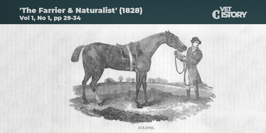 RCVSKnowledge's tweet image. Horse racing starts up again today, so why not visit Vet History to read about Eclipse, the most celebrated racehorse of the 18th century and ancestor of many modern Thoroughbreds. 

Find out more at bit.ly/3eyuxiY #vethistory #vetarchives