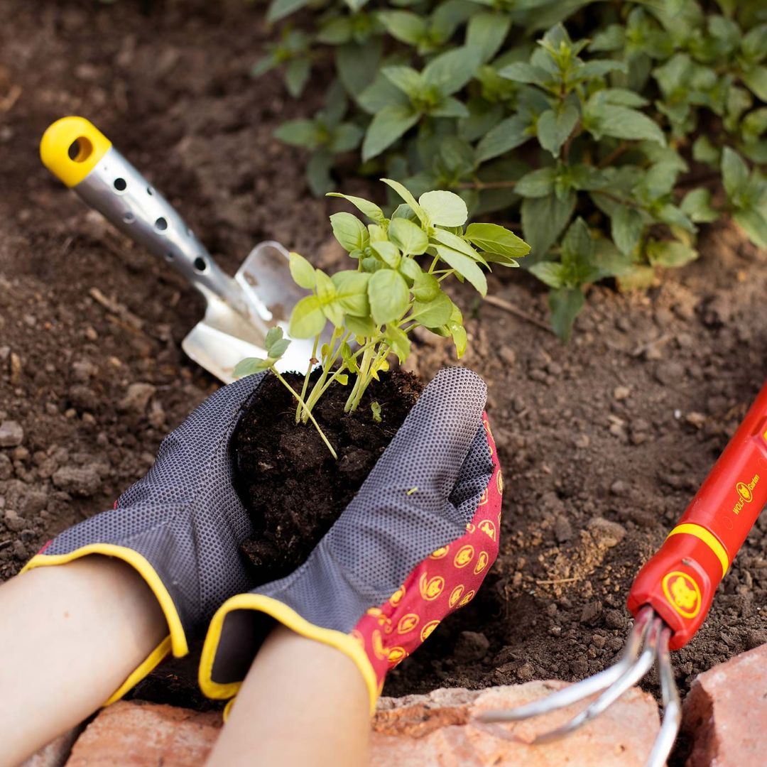 WOLFGartenIt's tweet photo. Per le tue piantine, affidati alle mani esperte di WOLF-Garten.
WOLF-Garten, la qualità in giardino.

#multistar #wolfgarten #giardinoperfetto #giardinaggiochepassione #giardinaggioprofessionale #giardiniere #giardiniereprofessionista https://t.co/Hr52AcmkzD