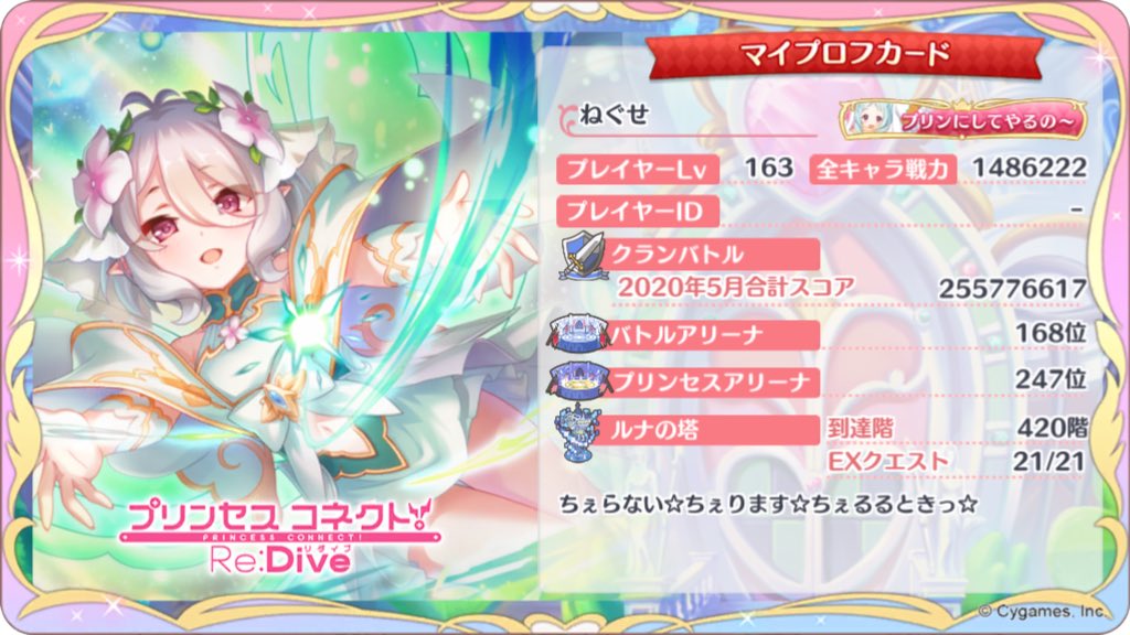 公式限定新作 送料無料 専用 当店人気 送料無料 Kstbb Be