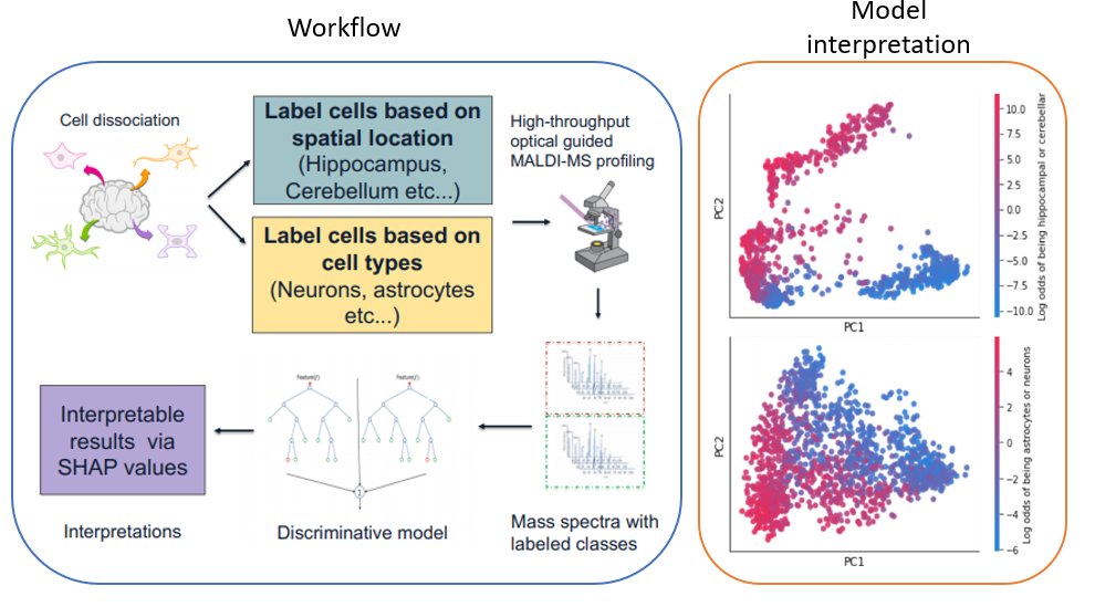 Our poster #ASMS2020 from the Sweedler lab @BeckmanInst @ChemistryUIUC @BIOENGatIL on 'Cell Classification Using Single Cell Mass Spectrometry Through Interpretable Machine Learning' is available online!
ativsoftware.com/appinfo.php?pa… #ASMS2020