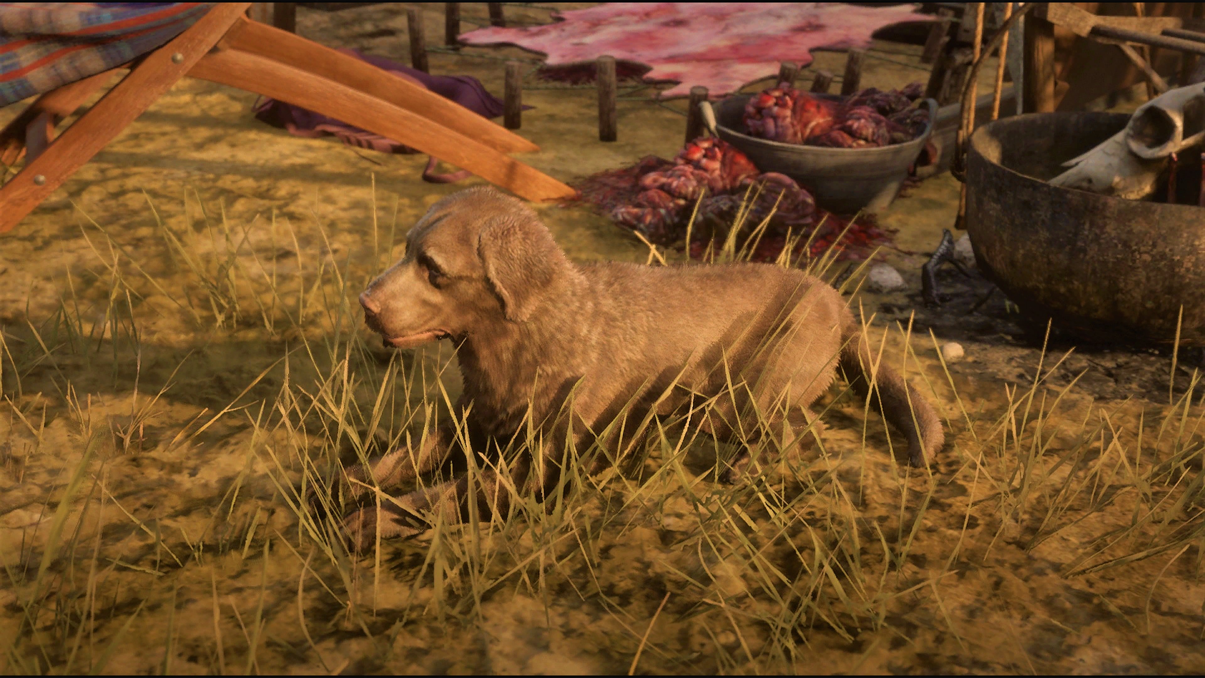Nyu Reddeadredemption2 Rdr2 Reddeadonline Rdo まぐろ 犬 メモ 名前の由来は おいしいから付けた 女狩猟業者 談 番犬らしい 色がこんななのでよく景色に同化して見つけにくい 最近馬よりも辛辣なコメントをすることが発覚する