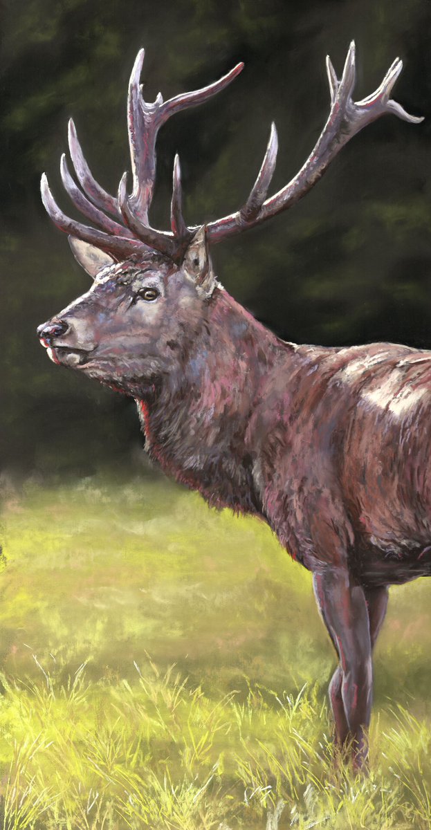 North Yorkshire Open Studios tweet media