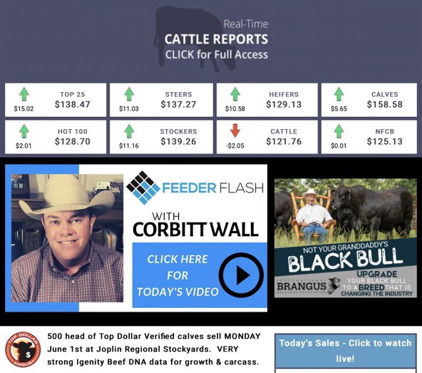 jaredwareham's tweet photo. Today in Joplin! 500 head of Top Dollar Verified feeders. #topdollarangus #JRS #nationalbeefwire #precisionbeef https://t.co/tyOOwfaFws