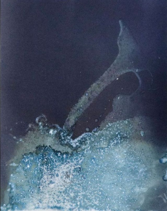 🌊 Meghann Riepenhoff is this week's featured Photographers for Our Future artist! 🌊 - mailchi.mp/firstexposures…