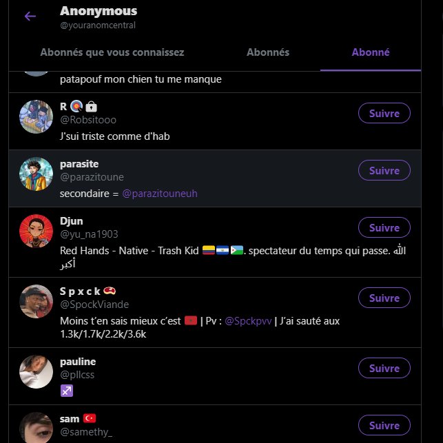 Ce que vous voyez sur cette image sont les abonnements du Twitter  @YourAnomCentral. On peut voir que ces personnes sont françaises (si vous ne me croyez pas, allez voir par vous-même). Donc on peut voir tout de suite que ce profile n'est pas assez "professionnalisé" puisqu'il...