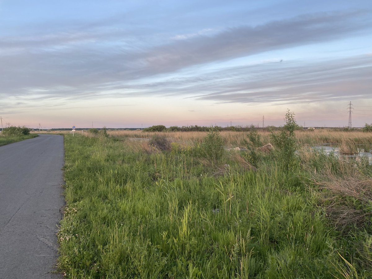 stdalmat's tweet image. То чувство когда едешь на велосипеде и вокруг мерещатся оливковые деревья из #AssassinsCreedOdyssey #AssassinsCreedValhalla