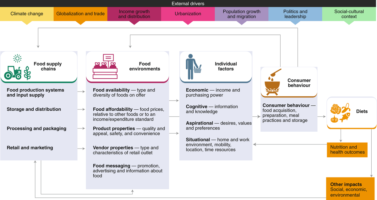TyBealPhD's tweet photo. Looking for global data on diets, nutrition, and the factors that drive them, like food environments and supply chains? https://t.co/1pL2DZIrc3 puts this diverse data together in one visual platform. Congrats @l_haddad &amp; @jessfanzo.
@FoodDashboard @GAINalliance @JohnsHopkins @FAO https://t.co/SHY5a6r9Qx