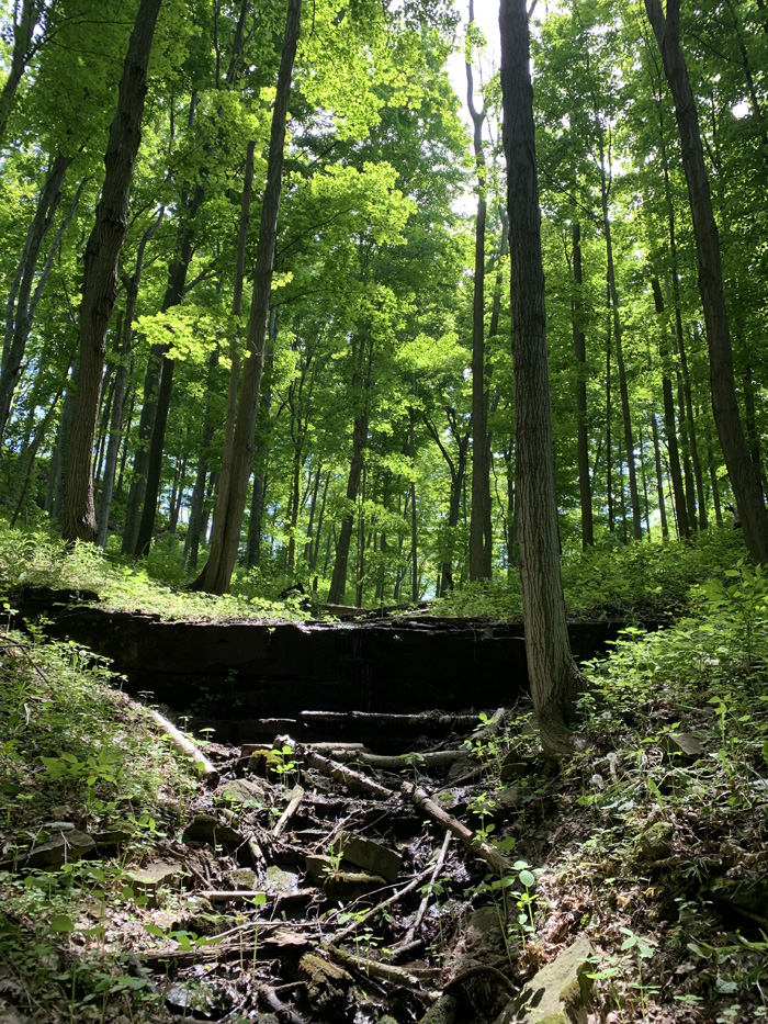 Welcome to June! Backcountry camping re-opens today at Ontario Parks: access points, paddle &amp; portage routes &amp; hiking trails. Day-use activities now include picnic &amp; off-leash pet areas &amp; Crown land has re-opened for camping. We're getting there!
#ontarioparks #nature #explore