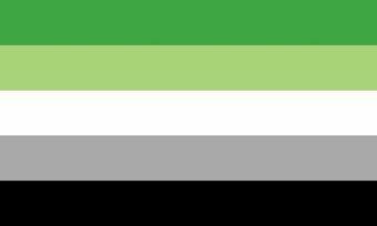 14. aromantic flag- represents people who do not feel romantic attraction