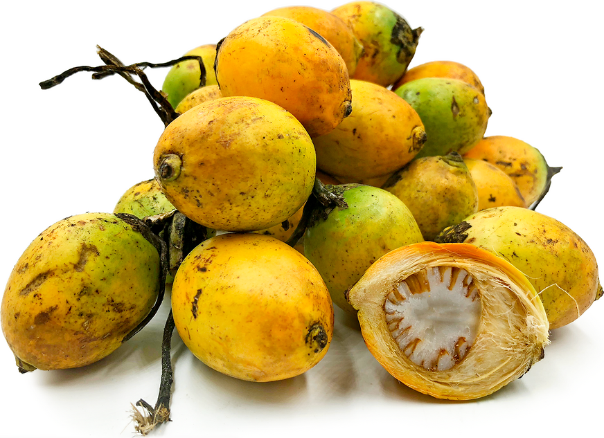 aipmassn's tweet photo. #BetelNut is not harmful!

In its most basic form, betel nut is a seed of the #Areca catechu, a type of palm tree.

Many people chew for the energy boost it produces. It may also result in feelings of euphoria and well-being. https://t.co/j2AXl6iXml