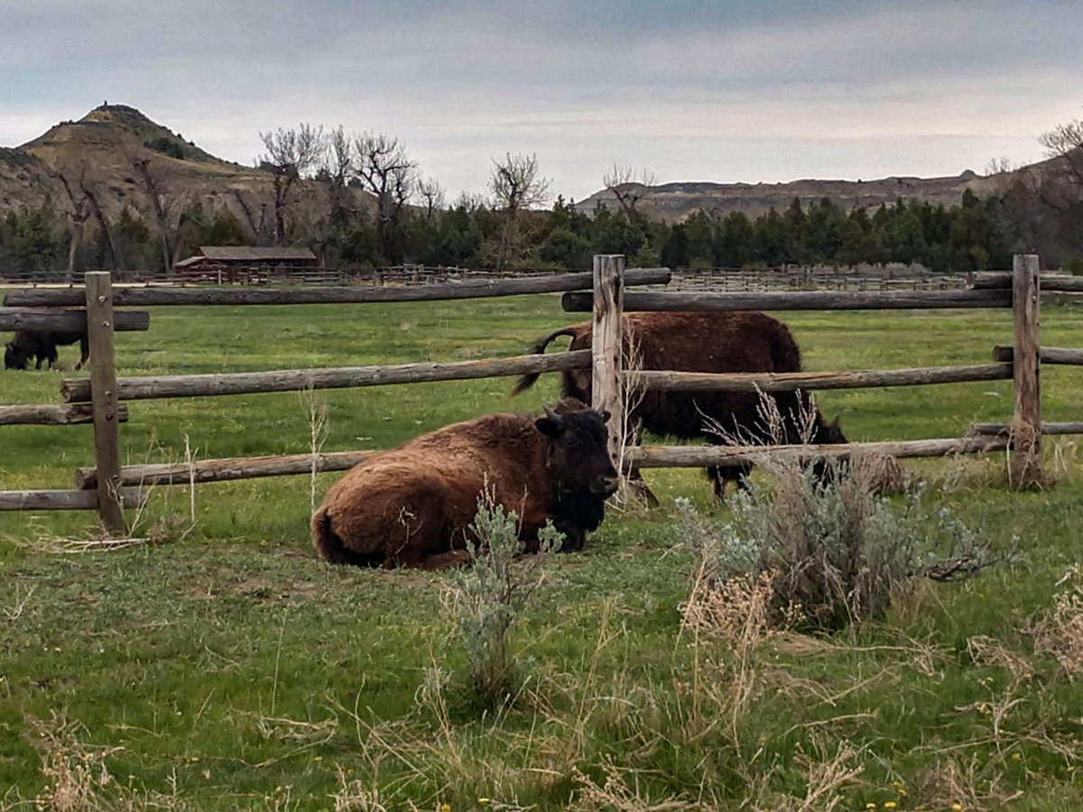 Did we take travel for granted? A question I've been grappling with for the last 3 months