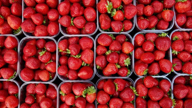 British strawberry season is back for a short time only - did you know they're technically not a berry but an 'accessory fruit'? The true fruits are the seeds on outside! Delicious no matter what you call them, they provide fibre, are high in vit C+folate &amp; count towards 5 A DAY