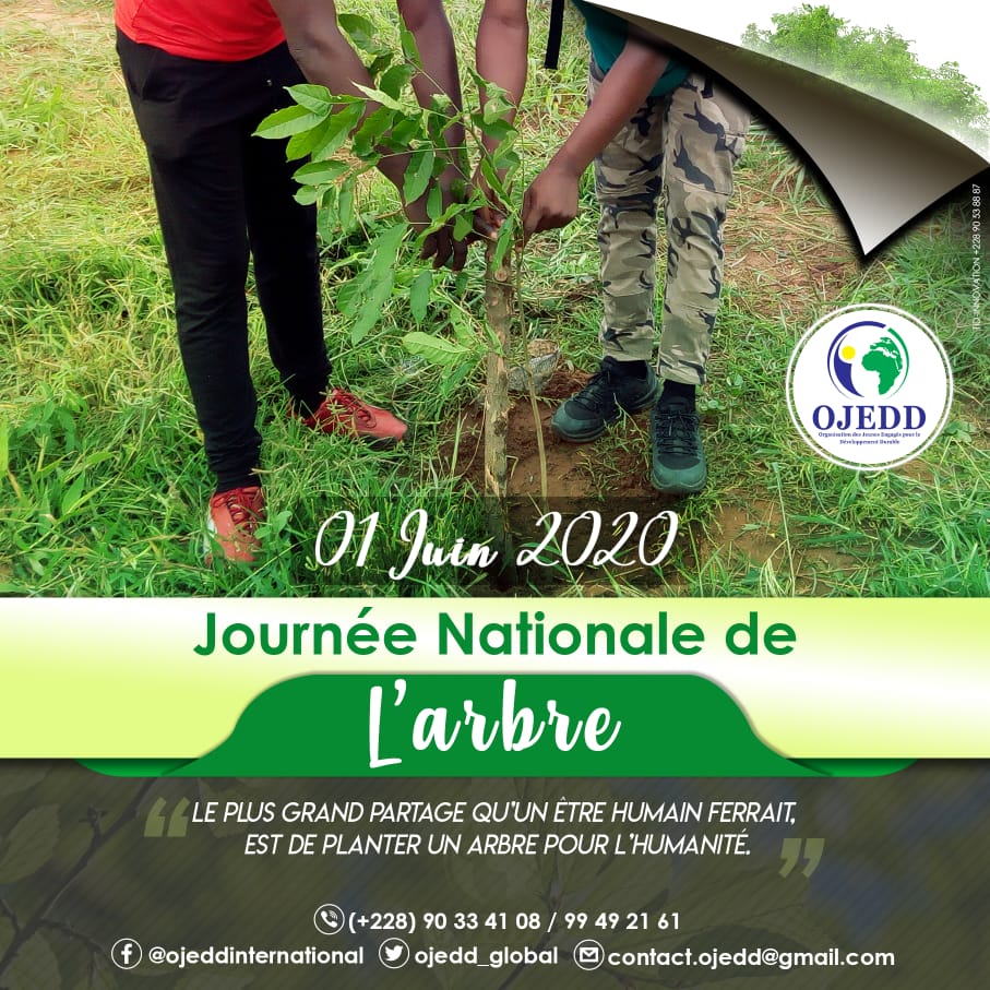 Aujourd'hui, c'est la journée de l'arbre🌳🌳🌳 au Togo. Nous invitons tout le monde à mettre en terre un plant🌱🌿 pour immortaliser cette journée.

Il serait encore très bien de suivre ces plants jusqu'à maturité.

Ensemble verdissons le Togo !