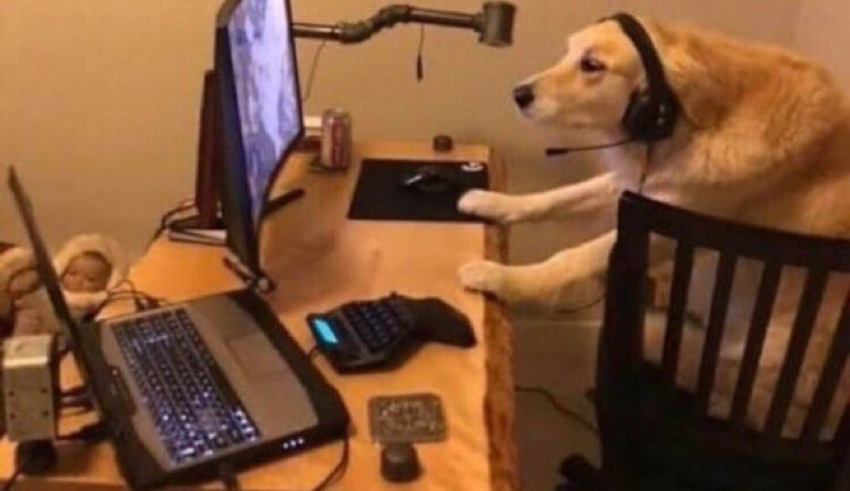 Yo actualizando Twitter cada 3 segundos #anonymus #Vaticano #CasaBlanca