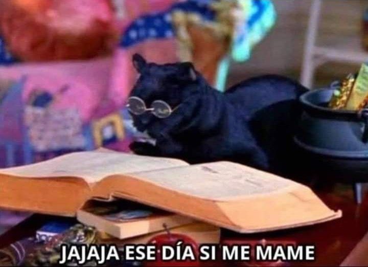 elihudevenus's tweet photo. Anonymous en unos años recordando cómo en 2020 por su culpa quemaron la Casa Blanca y mataron a Trump #anonymus https://t.co/ney2x8yqjH