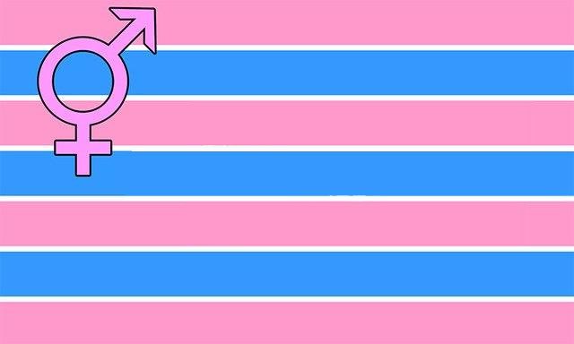 18. transsexual flag- represents people who desire to be acknowledged as a member of the opposite sex
