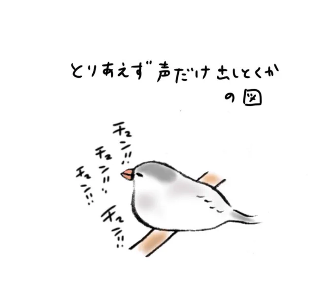 すごい呼び鳴きしているので申し訳ない気持ちで見てみると、
とりあえず声だけ出しとくか、という姿勢の時がある。 