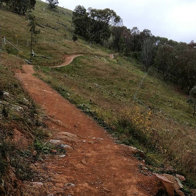 Natalie_Rose_89's tweet photo. One tree hill 🌲 #girldate #lunge #rainy #travelplans #girltalk #hike #burgers #wine #whomissesdancing #wedo #nature #needtoworkonthefitness #gossip

📸 https://t.co/7q9staFj8a via https://t.co/caQNgthpTc https://t.co/BRm2P3Uvhd