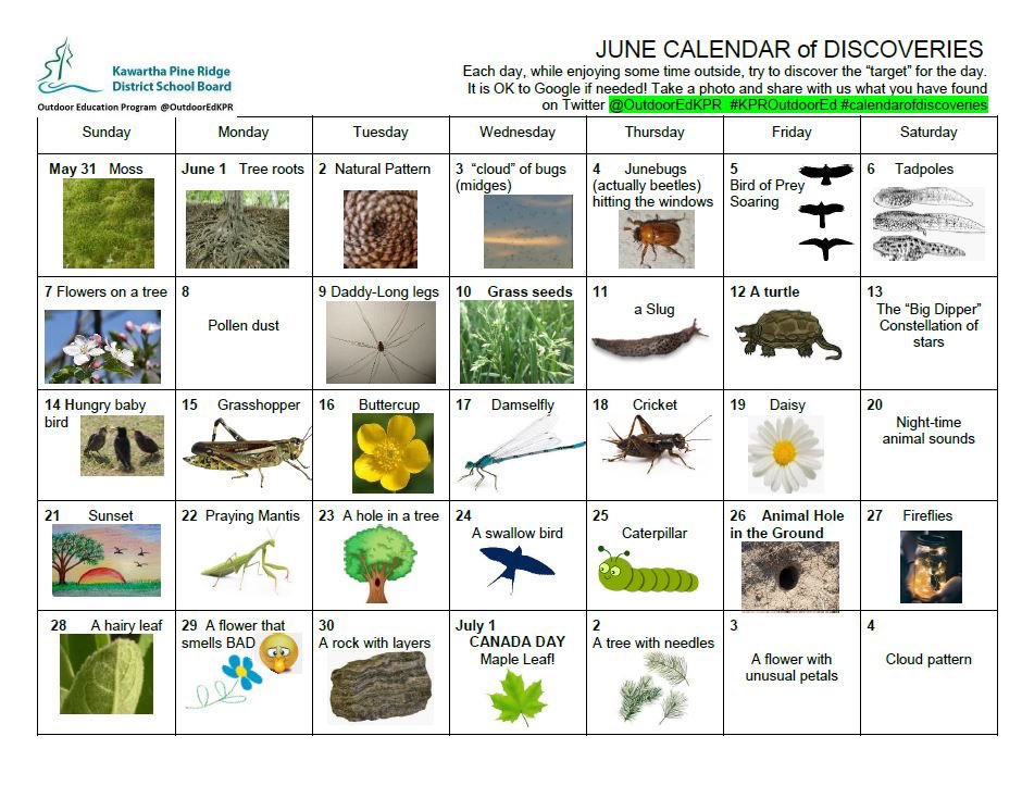 OutdoorEdKPR's tweet photo. It is JUNE! In case you missed it, we start our new #calendarofdiscoveries today!!! Please let us know what you find everyday 👀👂👃🖐👣 @kprschools #KPRLearningatHome https://t.co/dst7CFGLPv