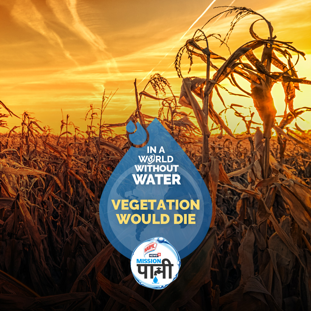 No vegetation, no greenery. Water will take everything with it, until and unless we realize the urgency of the situation. If we don’t, we are all staring at a #WorldWithoutWater

To know more, join <a href="/Harpic_India/">Harpic India</a>-News18 #MissionPaani Log On to news18.com/mission-paani/