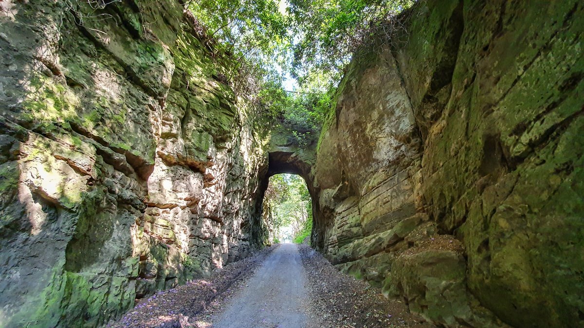simcoemedia's tweet image. Some photos I took yesterday at #HawkstonePark Follies. A great day out near to the #Shropshire town of #Shrewsbury.

#dailyexercise #reopening #Summer2020 #nature #photography 

goo.gl/maps/SFn729Gbu…