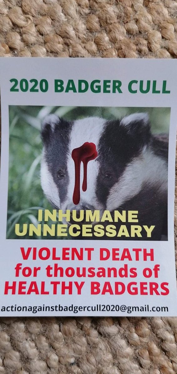 cliveswinsco's tweet photo. @StopTheHunts Please sign &amp; share our 
Badger Petition ; join a local group @B_A_Network and help stop this senseless slaughter 
https://t.co/zMYej8VRnY 
@derbyshireATC 
  Respect Existence, or 
     Expect  Resistance  🦡✊ https://t.co/I0mPwNwu92